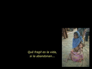 Qué fragil es la vida, si la abandonan... 