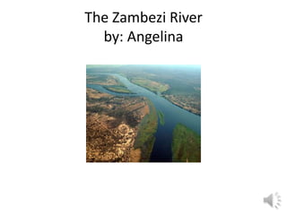 The Zambezi River
  by: Angelina
 