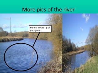 More pics of the river  Here is a close up of the ripples  