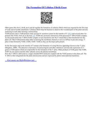 The Formation Of Cellulose Fibrils Essay
Other genes like chvA, chvB, pscA and att regulate the formation of cellulose fibrils which are required for the first step
of weak and reversible attachment. Cellulose fibrils help the bacteria to attach to the wounded parts of the plant and also
anchoring to each other forming a microcolony.
VirD4 protein and 11 VirB proteins make up type IV secretion system for the transfer of T–DNA and several other Vir
proteins like VirE2, VirF etc to the host cell. VirD4 also promotes interaction of the processed T–DNA/VirD2 complex.
As discussed earlier the T–DNA/VirD2 complex in turn transforms into the T–strand that is then transferred into the
plant cell. Most VirB proteins help either in forming the membrane channel or serve as ATPase to provide energy. T–
pilus is then formed by VirB2 ,VirB5, VirB7, VirB2 as they are the major pilin protein.
So the first major step in the transfer of T strand is the formation of a long flexious appendage known as the T–pilus
(Bulgakov, 2000) . The detection of presence of acetosyringone and other substances activates the expression of 11
genes in VirB operon which are responsible for the formation of the T–pilus. Other products of VirB genes like VirB6,
VirB7 etc are used to transfer other subunits across the plasma memebrane.
Now the T–DNA is delivered as a single stranded DNA molecule coupled with the VirD2 protein in the plant cell. The
T–DNA is then integrated into the plant chromosome and are expressed by plants transcriptional machinery.
... Get more on HelpWriting.net ...
 