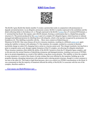 Klhl3 Gene Essay
The KLHL3 gene (Kelch like family member 3) creates a protein that works in conjunction with proteasomes to
degrade unwanted proteins via an ubiquitin–proteasome system. KLHL3 is mainly expressed in the cerebellum and the
distal collecting tubule in the kidneys (3). is Though expressed in the KLHL3 protein has a N–terminal BTB domain, a
C–terminal that has Ketch–like repeats, and a BACK domain, forming a conformation that is a bladed beta propeller
structure (1). The protein produced by this gene is part of a complex (E3 ubiquitin ligase), which functions to indicate
damaged and additional proteins by labelling these with ubiquitin, which is the tag later recognized by proteasomes for
breakdown (4). This labelling is possible with the ... Show more content on Helpwriting.net ...
Mutations for KLHL3 that cause disease all involve missense mutations, resulting in a different amino acid, again
noting the inability to interact with substrates (7). One mutation, for example, resulted in a cytosine to thymine
nucleotide change at codon 410, changing from a serine to a leucine amino acid. This change in polarity, moving from a
polar to nonpolar amino acid, disrupts regular formation of the E3 complex, not allowing for ubiquitin attachment.
These missense mutations often inhibit the ability of the KLHL3 protein to form the E3 ubiquitin ligase complex, and
so this prevents the normal function of identifying extraneous and damaged proteins, resulting in an excess of WNK4,
due to no protein degradation as a result of the inability to tag these excess proteins. This inability to form the complex
in some mutations is a result of the cluster of serine residues that were affected by the mutation, building up on the
propeller domains, disrupting interactions with substrate and/or altering protein structure, though it is more common to
see one or the other (6). This leads to high blood pressure, due to no control over WNK4 concentrations in the blood. It
was commented on that the majority of mutations affected the ability of the KLHL3 to associate with the rest of the
complex, therefore unable to
... Get more on HelpWriting.net ...
 