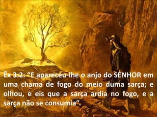 Êx 3:2: “E apareceu-lhe o anjo do SENHOR em
uma chama de fogo do meio duma sarça; e
olhou, e eis que a sarça ardia no fogo, e a
sarça não se consumia”.
 