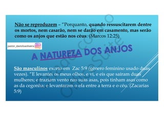 Não se reproduzem – “Porquanto, quando ressuscitarem dentre
os mortos, nem casarão, nem se darão em casamento, mas serão
como os anjos que estão nos céus. (Marcos 12:25)
São masculinos exceto em  Zac 5:9 (gênero feminino usado duas
vezes). “E levantei os meus olhos, e vi, e eis que saíram duas
mulheres; e traziam vento nas suas asas, pois tinham asas como
as da cegonha; e levantaram o efa entre a terra e o céu. (Zacarias
5:9)
 