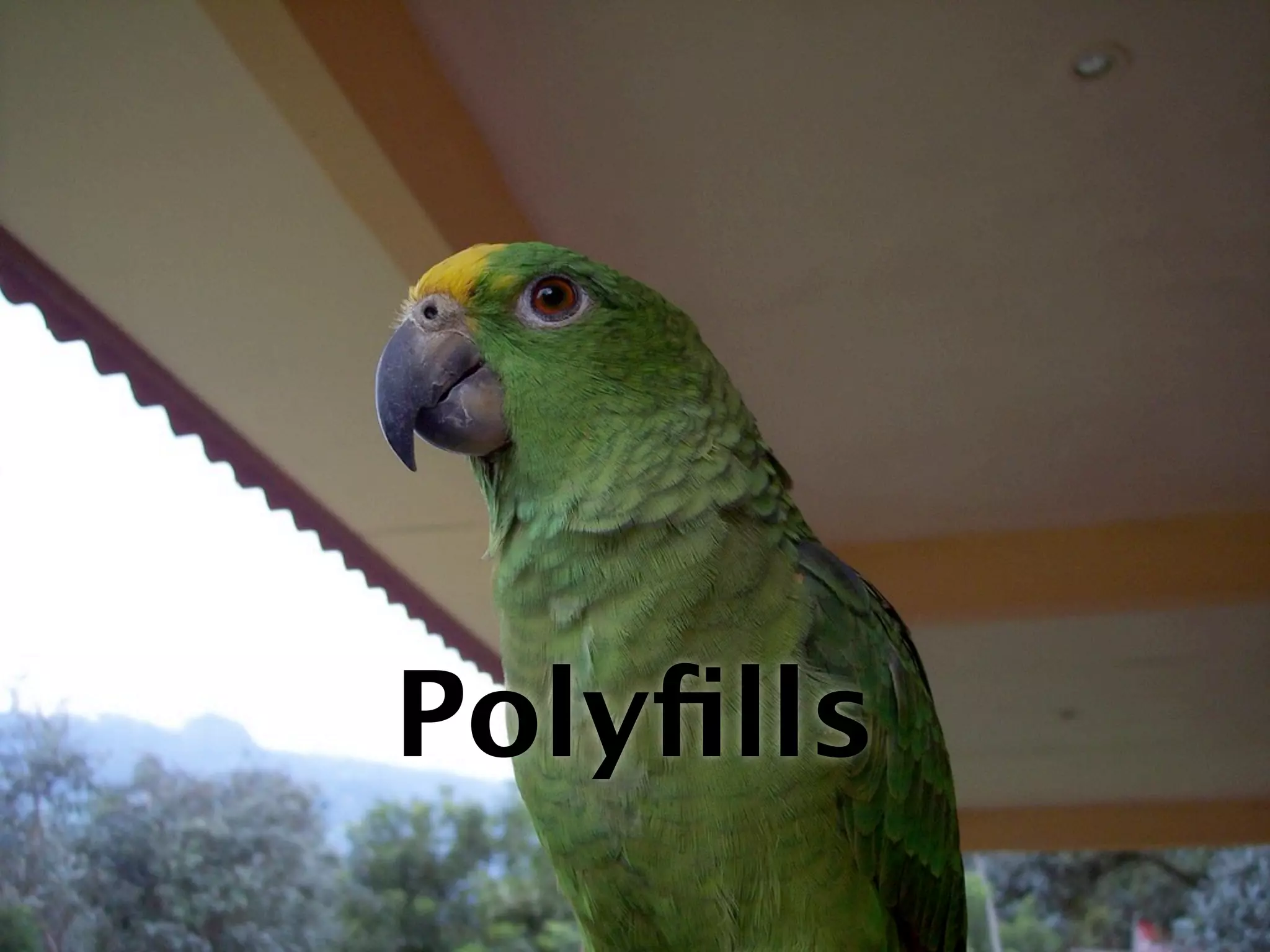 Polyﬁlls
 