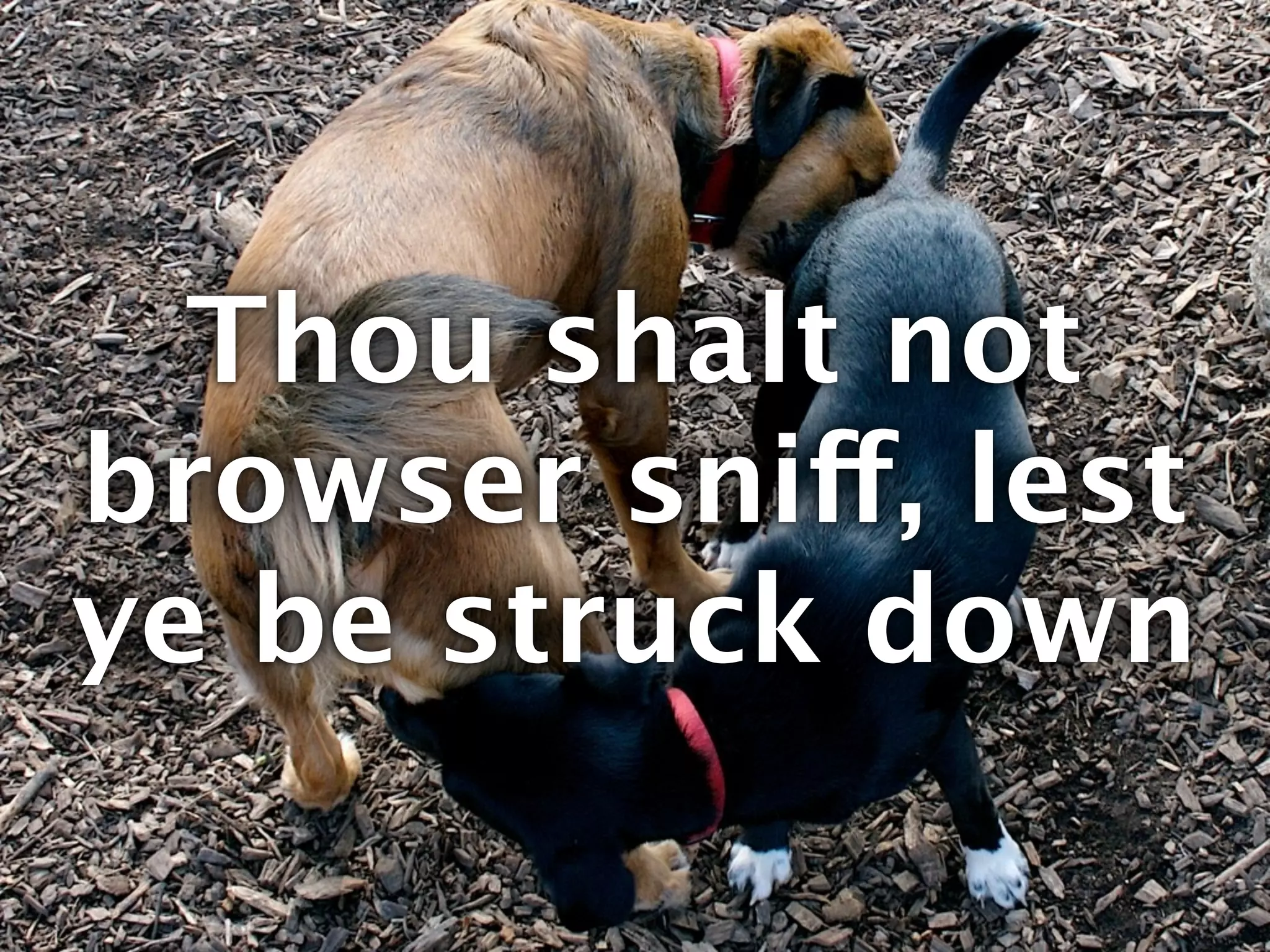 Thou shalt not
browser sniff, lest
ye be struck down
 