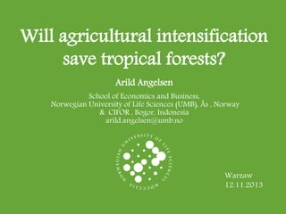 Will agricultural intensification
save tropical forests?
Arild Angelsen
School of Economics and Business,
Norwegian University of Life Sciences (UMB), Ås , Norway
& CIFOR , Bogor, Indonesia
arild.angelsen@umb.no

Warzaw
12.11.2013

 