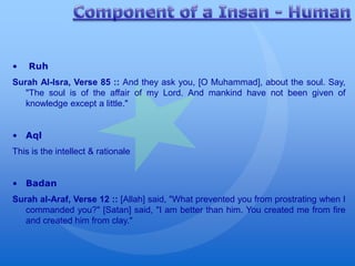 •   Ruh
Surah Al-Isra, Verse 85 :: And they ask you, [O Muhammad], about the soul. Say,
   "The soul is of the affair of my Lord. And mankind have not been given of
   knowledge except a little."


• Aql
This is the intellect & rationale


• Badan
Surah al-Araf, Verse 12 :: [Allah] said, "What prevented you from prostrating when I
   commanded you?" [Satan] said, "I am better than him. You created me from fire
   and created him from clay."
 