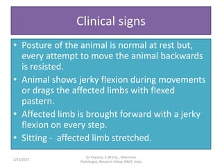 can gabapentin cause jerky movements