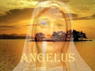 Angelus 