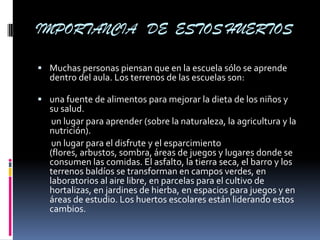 IMPORTANCIA DE ESTOS HUERTOS

 Muchas personas piensan que en la escuela sólo se aprende
  dentro del aula. Los terrenos de las escuelas son:

 una fuente de alimentos para mejorar la dieta de los niños y
  su salud.
   un lugar para aprender (sobre la naturaleza, la agricultura y la
  nutrición).
   un lugar para el disfrute y el esparcimiento
  (flores, arbustos, sombra, áreas de juegos y lugares donde se
  consumen las comidas. El asfalto, la tierra seca, el barro y los
  terrenos baldíos se transforman en campos verdes, en
  laboratorios al aire libre, en parcelas para el cultivo de
  hortalizas, en jardines de hierba, en espacios para juegos y en
  áreas de estudio. Los huertos escolares están liderando estos
  cambios.
 