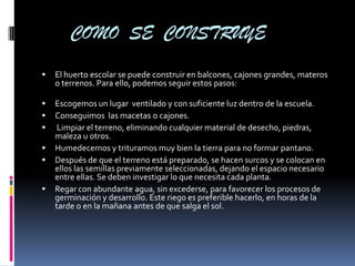 COMO SE CONSTRUYE
   El huerto escolar se puede construir en balcones, cajones grandes, materos
    o terrenos. Para ello, podemos seguir estos pasos:

   Escogemos un lugar ventilado y con suficiente luz dentro de la escuela.
   Conseguimos las macetas o cajones.
    Limpiar el terreno, eliminando cualquier material de desecho, piedras,
    maleza u otros.
   Humedecemos y trituramos muy bien la tierra para no formar pantano.
   Después de que el terreno está preparado, se hacen surcos y se colocan en
    ellos las semillas previamente seleccionadas, dejando el espacio necesario
    entre ellas. Se deben investigar lo que necesita cada planta.
   Regar con abundante agua, sin excederse, para favorecer los procesos de
    germinación y desarrollo. Este riego es preferible hacerlo, en horas de la
    tarde o en la mañana antes de que salga el sol.
 