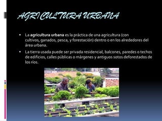 AGRICULTURA URBANA
   La agricultura urbana es la práctica de una agricultura (con
    cultivos, ganados, pesca, y forestación) dentro o en los alrededores del
    área urbana.
   La tierra usada puede ser privada residencial, balcones, paredes o techos
    de edificios, calles públicas o márgenes y antiguos sotos deforestados de
    los ríos.
 
