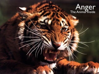 Anger
The Animal Inside
 