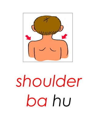 shoulder
 ba hu
 