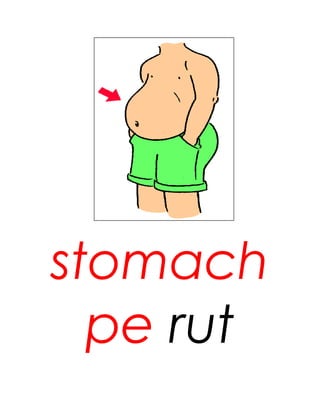 stomach
  pe rut
 
