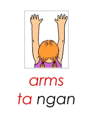 arms
ta ngan
 