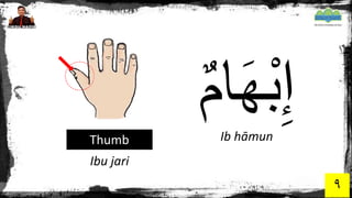 Hand Body Raja Arab Anggota Badan (جسم) - Body (Bahasa Arab) | PDF