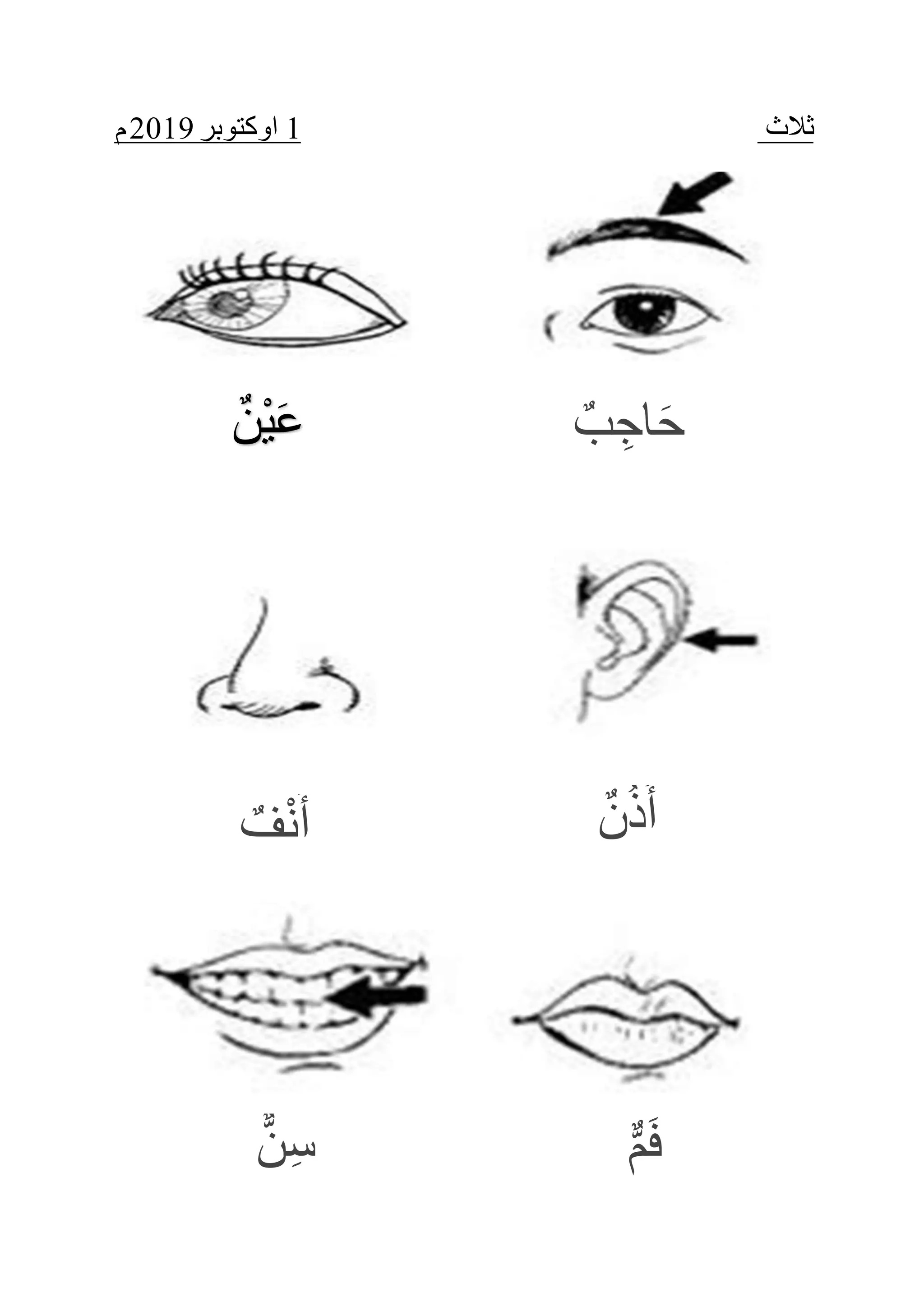 Anggota badan pra arab | PDF