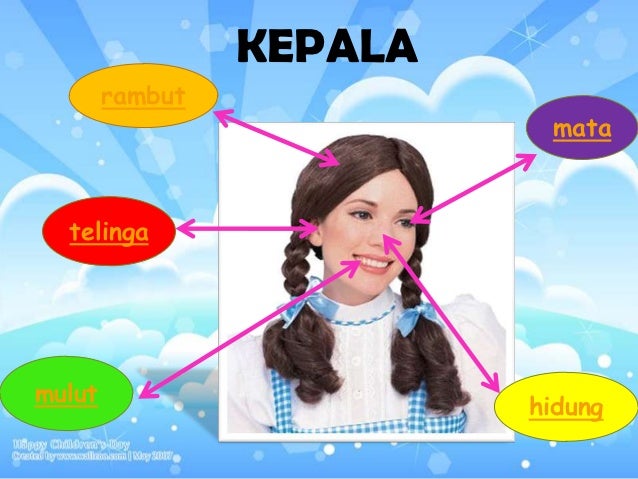 Anggota bagian kepala 3