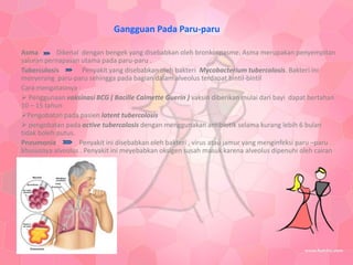 Gangguan Pada Paru-paru

Asma        Dikenal dengan bengek yang disebabkan oleh bronkospasme. Asma merupakan penyempitan
saluran pernapasan utama pada paru-paru .
Tuberculosis        Penyakit yang disebabkan oleh bakteri Mycobacterium tubercolosis. Bakteri ini
menyerang paru-paru sehingga pada bagian dalam alveolus terdapat bintil-bintil
Cara mengatasinya :
 Penggunaan vaksinasi BCG ( Bacille Calmette Guerin ) vaksin diberikan mulai dari bayi dapat bertahan
10 – 15 tahun
Pengobatan pada pasien latent tubercolosis
 pengobatan pada active tubercolosis dengan menggunakan antibiotik selama kurang lebih 6 bulan
tidak boleh putus.
Pneumonia          Penyakit ini disebabkan oleh bakteri , virus atau jamur yang menginfeksi paru –paru
khususnya alveolus . Penyakit ini meyebabkan oksigen susah masuk karena alveolus dipenuhi oleh cairan
 