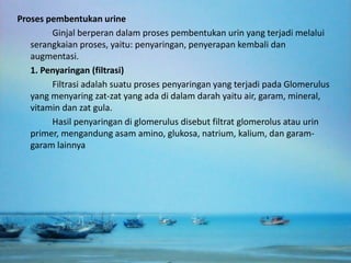 Proses pembentukan urine
        Ginjal berperan dalam proses pembentukan urin yang terjadi melalui
   serangkaian proses, yaitu: penyaringan, penyerapan kembali dan
   augmentasi.
   1. Penyaringan (filtrasi)
        Filtrasi adalah suatu proses penyaringan yang terjadi pada Glomerulus
   yang menyaring zat-zat yang ada di dalam darah yaitu air, garam, mineral,
   vitamin dan zat gula.
        Hasil penyaringan di glomerulus disebut filtrat glomerolus atau urin
   primer, mengandung asam amino, glukosa, natrium, kalium, dan garam-
   garam lainnya
 