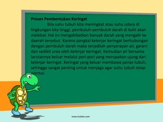 Proses Pembentukan Keringat
         Bila suhu tubuh kita meningkat atau suhu udara di
lingkungan kita tinggi, pembuluh-pembuluh darah di kulit akan
melebar. Hal ini mengakibatkan banyak darah yang mengalir ke
daerah tersebut. Karena pangkal kelenjar keringat berhubungan
dengan pembuluh darah maka terjadilah penyerapan air, garam
dan sedikit urea oleh kelenjar keringat. Kemudian air bersama
larutannya keluar melalui pori-pori yang merupakan ujung dari
kelenjar keringat. Keringat yang keluar membawa panas tubuh,
sehingga sangat penting untuk menjaga agar suhu tubuh tetap
normal.
 