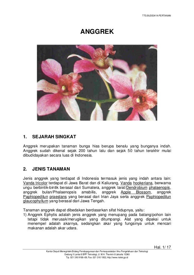 Pedoman Berkebun Anggrek