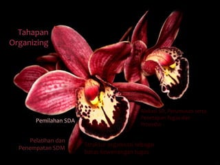 Tahapan 
Organizing 
Pemilahan SDA 
Struktur organisasi sebagai 
batas kewenangan tugas 
Pelatihan dan 
Penempatan SDM 
Alokasi SD, Perumusan serta 
Penetapan Tugas dan 
Prosedur 
 