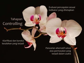 Tahapan 
Controlling 
Evaluasi pencapaian sesuai 
indikator yang ditetapkan 
Klarifikasi dan koreksi 
kesalahan yang terjadi 
Pencarian alternatif solusi 
atas permasalan yang 
terjadi dalam usaha 
