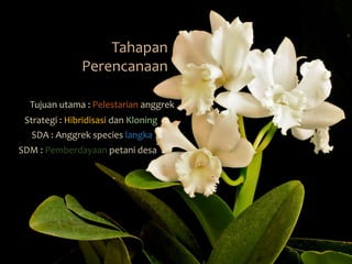Tahapan 
Perencanaan 
Tujuan utama : Pelestarian anggrek 
Strategi : Hibridisasi dan Kloning 
SDA : Anggrek species langka 
SDM : Pemberdayaan petani desa 
 