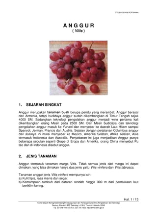 Cd R Rrasa Anggur Wirausaha Berkebun Anggur | PDF