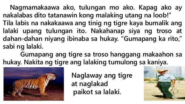 Tama Ba Ang Naging Hatol Ng Kuneho Tama Ba Ang Naging Hatol Ng Kuneho Sa Suliranin Ng Tigre At Ng Lalaki Bakit