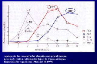 Andamento das concentrações plasmáticas de procalcitonina,
proteina C-reativa e citoquímica depois do trauma cirúrgico.
Representação esquemática (Meissner M, 1999).                  71
 