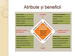 Atribute și beneficii
 