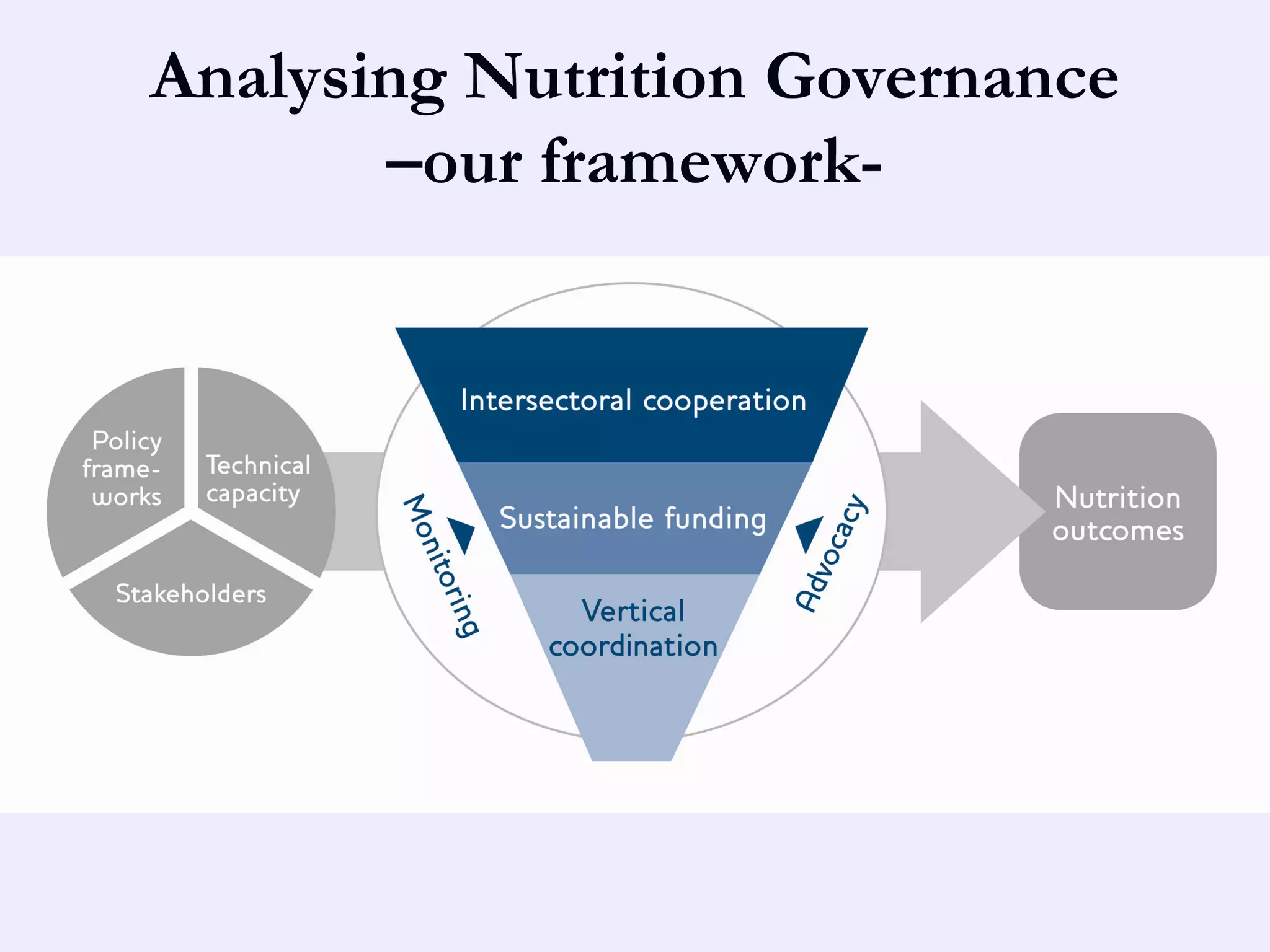 Analysing Nutrition Governance
       –our framework-
 