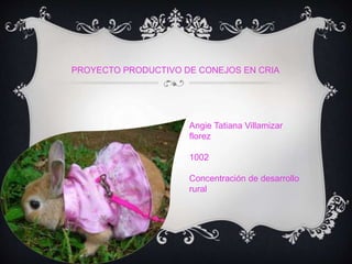 PROYECTO PRODUCTIVO DE CONEJOS EN CRIA 
Angie Tatiana Villamizar 
florez 
1002 
Concentración de desarrollo 
rural 
 