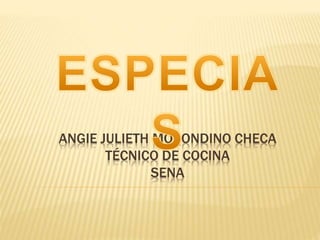 ANGIE JULIETH MOCONDINO CHECA
TÉCNICO DE COCINA
SENA
 