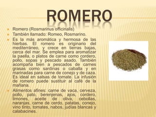ROMERO
 Romero (Rosmarinus officinalis)
 También llamado: Romeo, Rosmarino.
 Es la más aromática y hermosa de las
hierbas. El romero es originario del
mediterráneo, y crece en tierras bajas,
cerca del mar. Se emplea para aromatizar
la paella, o platos de carne como cordero,
pollo, sopas y pescado asado. También
acompaña bien a pescados de carnes
grasas como sardinas o caballa y en
marinadas para carne de conejo y de caza.
Es ideal en salsas de tomate. La infusión
de romero puede sustituir al café de la
mañana.
 Alimentos afines: carne de vaca, cerveza,
pollo, pato, berenjenas, ajos, cordero,
limones, aceite de oliva, cebollas,
naranjas, carne de cerdo, patatas, conejo,
vino tinto, tomates, nabos, judías blancas y
calabacines.
 