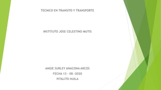 TECNICO EN TRANSITO Y TRANSPORTE
INSTITUTO JOSE CELESTINO MUTIS
ANGIE SURLEY ANACONA ARCOS
FECHA 13 – 08 -2020
PITALITO HUILA
 
