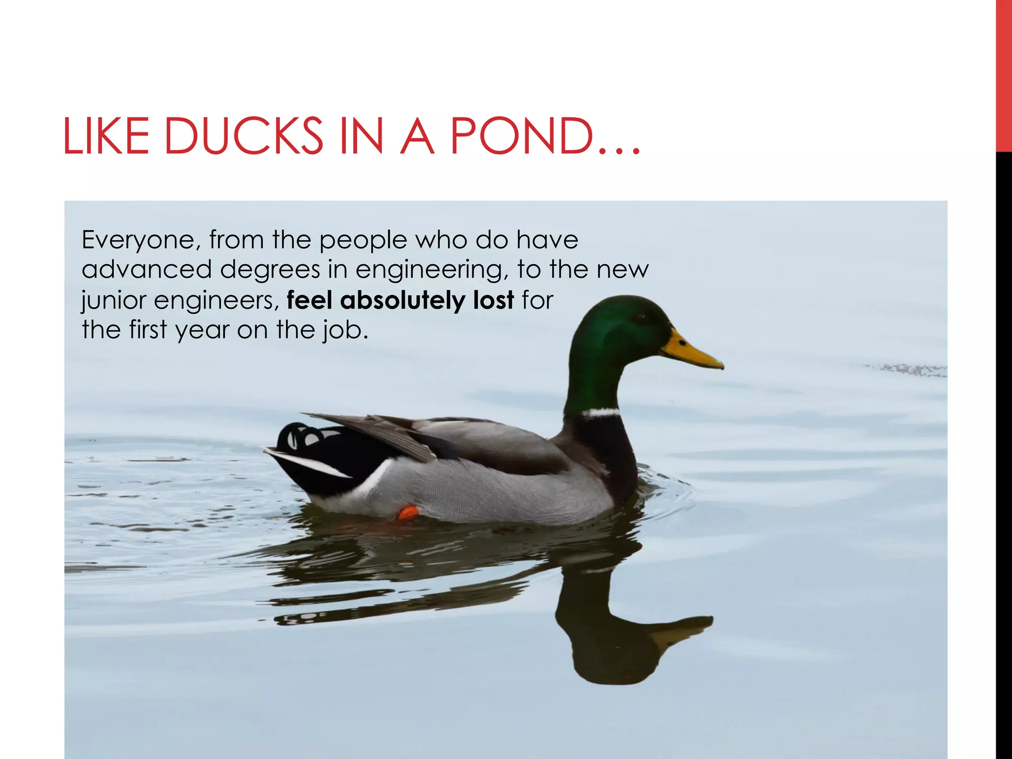 LIKE DUCKS IN A POND…
Everyone, from the people who do have
advanced degrees in engineering, to the new
junior engineers, feel absolutely lost for
the first year on the job.
 