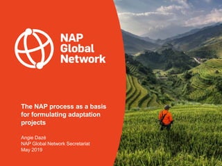 The NAP process as a basis
for formulating adaptation
projects
Angie Dazé
NAP Global Network Secretariat
May 2019
 