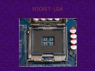 SOCKET- LGA
 