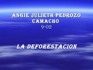 Angie Julieth Pedrozo Camacho   9-02 LA DEFORESTACION 