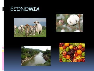 ECONOMIA