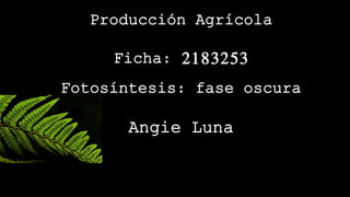 Producción Agrícola
Ficha: 2183253
Fotosíntesis: fase oscura
Angie Luna
 