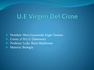  Nombre: Mera Guaranda Angie Tamara
 Curso: 2º B.G.U (Sistemas)
 Profesor: Lcdo. Boris Mejillones
 Materia: Biología
 