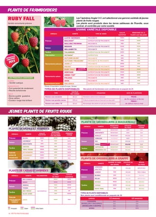 PLANTS DE GROSEILLIERS A GRAPPE
PLANTS DE GROSEILLIERS A MAQUEREAU
GAMME VARIÉTALE DISPONIBLE
10 - PETITS FRUITS ROUGES
PLANTS DE FRAMBOISIERS
JEUNES PLANTS DE FRUITS ROUGE
*Plants d’importation (origine Europe / Suisse)
Les Pépinières Angier SAS ont sélectionné une gamme variétale de jeunes
plants de fruits rouges.
Les plants sont produits dans les terres sableuses de Picardie, sous
contrat, et contrôlés par notre société.
TYPES DE PLANTS DISPONIBLES Nos plants de framboisiers sont conditionnés en paquets de 25.
CRÉNEAU VARIÉTÉ TYPE DE VENTE
QUALITÉ
GUSTATIVE
RÉSISTANCE DE LA
PLANTE AUX MALADIES
Précoce
LLOYD GEORGES PROXIMITÉ •••• •••
MALAHAT** EXPÉDITION & PROXIMITÉ •••• ••••
MALLING PROMISE PROXIMITÉ ••• •••
Saison
MEEKER EXPÉDITION & PROXIMITÉ •••• ••••
WILLIAMETTE PROXIMITÉ ••• •••
Tardive TULAMEEN EXPÉDITION & PROXIMITÉ •••• •••
Très tardive OCTAVIA** EXPÉDITION ••• •••
Remontante précoce
AUTUNM BLISS**
PROXIMITÉ ••• •••
AUTUNM TREASURE** PROXIMITÉ & PROXIMITÉ ••• •••
JOAN J** PROXIMITÉ •••• •••
POLKA** EXPÉDITION & PROXIMITÉ •••• •••
RUBY FALL** EXPÉDITION & PROXIMITÉ •••• ••••
Remontante saison
HERITAGE EXPÉDITION & PROXIMITÉ •••• ••••
HIMBO TOP** EXPÉDITION & PROXIMITÉ •••• ••••
POLANA PROXIMITÉ ••• •••
ZEVA PROXIMITÉ •••• •••
Remontante jaune FALLGOLD EXPÉDITION & PROXIMITÉ ••• •••
TYPE
HAUTEUR
DES CANNES
UTILISATION DATE DE PLANTATION
Racines nues standards 50 cm Plantation pleine terre classique FRAIS :
de fin octobre à février
FRIGO :
de début mars à mai
Racines nues grandes cannes 120 cm Culture programmée en hors-sol ou sous abri
Racines nues calibre “B” 20 cm Rempotage des plants en pot pour horticulteur
TYPES DE PLANTS DISPONIBLES
Nos plants sont conditionnés en paquets de 10.
CRÉNEAU VARIÉTÉ POLLINISATION
CALIBRE
DU FRUIT
QUALITÉ
GUSTATIVE
Précoce
BEN CONNAN*
AUTOFERTILE
•••• ••••
EBONY •••• ••••
Saison
ANDEGA ••• ••••
TITANIA ••• ••••
Tardive
BEN TIRRAN*
••• ••
BLACK DOWN ••• ••••
Hybride
CASSIS & GROSEILLIERS
À MAQUEREAU =
CASEILLE
JOSTA •••• •••
CRÉNEAU VARIÉTÉ
RÉSISTANCE
À L’OÏDIUM
COULEUR
DU FRUIT
PRÉSENCE
D’ÉPINE
Précoce
INVICTA* RÉSISTANT VERT OUI
GREENFINCH RÉSISTANT VERT OUI
ROKULA* RÉSISTANT ROUGE OUI
Saison
CARELESS TOLÉRANT VERT OUI
PAX RÉSISTANT ROUGE LÉGÈRE
XENIA RÉSISTANT ROUGE OUI
Tardive
CAPTIVATOR RÉSISTANT ROUGE NON
HINNOMAKI GUL RÉSISTANT ROUGE OUI
CRÉNEAU VARIÉTÉ
NOMBRE DE BAIES
PAR GRAPPE
COULEUR DU
FRUIT
BESOIN
EN FROID
Précoce
JONKHEER-
VAN TETS
••• ROUGE IMPORTANT
JUNIFER ••• ROUGE TRÈS FAIBLE
Saison
BLANKA ••• BLANC MOYEN
ROLAN •••• ROUGE IMPORTANT
Tardive
ROVADA •••• ROUGE MOYEN
TATRAN •••• ROUGE MOYEN
WHITE PAREL ••• BLANC MOYEN
ESPÈCES 1/2 BRANCHES 3/5 BRANCHES
CASSISIERS OUI OUI
GROSEILLERS À MAQUEREAU OUI OUI
GROSEILLERS À GRAPPES OUI OUI
MÛRES OUI NON•• ••• ••••
•• moyen ••• bien •••• très bien
PLANTE
Variété rustique
PRODUCTIVIT
• Fort potentiel de rendement
• Récolte échelonnée
FRUIT
• Bonne qualité gustative
• Gros calibre
• Couleur rouge très brillant
LES PRINCIPAUX AVANTAGES
PLANTS DE MÛRES ET HYBRIDES
CRÉNEAU VARIÉTÉ
QUALITÉ
GUSTATIVE
RÉSISTANCE
DE LA PLANTE
AUX MALADIES
PRÉSENCE
D’ÉPINE
Précoce SILVAN •••• •••• OUI
Saison
LOCHNESS*
•• ••• NON
SMOOTSHEN ••• ••• NON
Tardive
CHESTER •••• ••• NON
TRIPLE CROWN •••• •••• NON
Hybride
MÛRES &
FRAMBOISES
BOYSENBERRY •••• ••• NON
LOGANBERRY •••• ••• NON
TAYBERRY •••• ••• OUI
PLANTS DE CASSIS ET HYBRIDES
RUBY FALL
Variété remontante précoce
NOUVEAUTÉ
confirmée 2013
Nouveauté 2013
Nouveauté
2013
Nouveauté
2013
Nouveauté
2013
Nouveauté
2013
Nouveauté
confirmée
2013
Nouveauté
confirmée
2013
Nouveauté
confirmée
2013
Nouveauté
confirmée
2013
Nouveauté
2013Nouveauté
2013
ANGIER cata 2013:Mise en page 1 8/11/12 17:12 Page 10
 