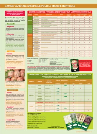 de Sologne®
GRIFFES
Conseils de plantation, voir au verso
GROSSEUR
DES TURIONS
RENDEMENT RÉCOLTE
AVRIL A JUIN### ####
QUALITÉCE/N°SOC1001conditionneur060016
GOÛT / VIGUEUR PLANTE
••moyen
••• bien
•••• très bien
ADAPTATION RÉGION
N°1 = Nord-Ouest
N°2 = Nord-Est
N°3 = Sud-Est
N°4 = Sud-Ouest
Types de plants utilisés pour le marché horticole :
plants frigo calibre B
Vente printemps :
repiquage de début janvier à mars
Vente automne :
repiquage de mi-juin à fin août
Idée novatrice des Pépinières ANGIER concernant le conditionnement des plants de fraisiers pour
le marché horticole : Notre entreprise a été à l’origine du paquet de 13 plants (avec 2 tours d’élastique).
Les plants sont mieux disposés dans les paquets. Cela se traduit par une vitesse de coupe des racines plus
élevée et homogène. Cette coupe de racines plus régulière aboutit à une augmentation de la vitesse de
repiquage. Les plants sont conditionnés couchés dans les caisses.
GAMME VARIÉTALE FRAISIERS SPÉCIFIQUE POUR LE MARCHÉ HORTICOLE
CRÉNEAU VARIÉTÉ OBSERVATION GOÛT
VIGUEUR
PLANTE
ADAPTATION RÉGION
N°1 N°2 N°3 N°4
PRÉCOCE
AGATHE®
(SWEET CHARLIE)
L’unique variété précoce et semi-remontante •••• ••••
ANGELINA Variété à découvrir •••• ••••
CIFLORETTE* La nouvelle petite sœur de Gariguette •••• ••••
GARIGUETTE* La variété référence actuelle •• ••••
SAISON
ANABLANCA* Un produit original et novateur, parfaitement
adapté à la segmentation •••• •••
ELSANTA* •• ••
GORELLA* •• ••
SONATA La variété à positionner en variété de saison •••• ••••
TARDIVE ISAURA Un seul nom à retenir entre la fin de saison
et le début des remontantes : Isaura ••• ••••
REMON-
TANTE
ANAÏS* La variété à fort potentiel aromatique •••• ••••
CHARLOTTE* La dernière-née du CIREF •••• ••••
CIRAFINE*
Variétés en développement ••• •••
CIJOSÉE*
NOVA GENTO*
Variétés dépassées •• ••OSTARA*
RABUNDA*
SWEET ANN La nouvelle remontante à très gros fruits ••• •••
MOUNT
EVEREST* Variété grimpante •• •••
REINE
DES VALLÉES* Fraise des bois ••• ••
GAMME VARIÉTALE GRIFFES D’ASPERGES SPÉCIFIQUE POUR LE MARCHÉ HORTICOLE
Nous avons sélectionné une gamme variétale asperges spécifique
à destination du marché amateur pour la vente en jardinerie.
Cette gamme variétale
est conditionnée en :
- filets de 10 griffes + chromos ;
- filets de 12 griffes + chromos ;
- filets de 25 griffes + chromos ;
- sacs vrac de 100 griffes.
Période de vente :
de février à mi-avril.
Chromos utilisés
pour les filets de 10, 12, 25 griffes
CRÉNEAU VARIÉTÉ
ORIGINE
GÉNÉTIQUE
TYPE DE PRODUCTION GRIFFES DISPONIBLES
BLANCHE VERTE 1 AN 2 ANS 3 ANS
TRÈS PRÉCOCE
FILÉAS Hybride 100% mâle -
PRIMA Population -
PRÉCOCE
OBELISK Hybride mixte -
RAMBO Hybride mixte
GRANDE Hybride mixte -
LA SUPER
ARGENTEUIL®
(ANGELA)
Population -
SAISON
BURGUNDINE Hybride 100% mâle Asperge pourpre
ANDRÉAS Hybride 100% mâle -
GROLIM Hybride 100% mâle
ARGENTEUIL Population -
GAMME VARIÉTALE SPÉCIFIQUE POUR LE MARCHÉ HORTICOLE
GAMME VARIÉTALE HORTICOLE - 11
PRÉCOCE
SAISON
VARIÉTÉS SÉLECTIONNÉES
SELON CHAQUE CRÉNEAU
DE PRODUCTION
Pour la saison 2013, nous avons sélec-
tionné une gamme variétale spécifique
pour le marché horticole et adaptée
selon le créneau de production.
Anablanca*
Angelina
Variété à fort potentiel de rendement,
non sensible aux maladies de sol et de
feuillage.
Ciflorette
La nouvelle petite sœur de Gariguette
(qui est de plus en plus développée par
les producteurs).
Cette variété offre un fruit très aroma-
tique et peu acide, contrairement à
Gariguette.
Positionnement Jouer la complé-
mentarité de la variété disponible en
fruits et plants, afin de fidéliser le
consommateur.
Sonata
La nouvelle variété à gros fruits (poids
moyen entre 20 et 25 grammes), à très
fort potentiel de rendement et de
bonne qualité gustative.
Positionnement : Variété pouvant
remplacer sur le même créneau :
Gorella, Elsanta et Senga Sengana.
REMONTANTE
Anaïs*
Cette remontante est la variété à fort
potentiel aromatique. Fruit de couleur
rouge orangé, à l’arôme authentique
de fraise.
La plante est très vigoureuse et rustique.
Positionnement : Variété à faire
découvrir absolument, pour son
arôme unique, qui ne laissera pas
le consommateur indifférent.
Charlotte*
La nouvelle remontante obtention
CIREF. La variété qui se développe chez
les professionnels.
Positionnement : La rusticité de la
plante, son arôme et le calibre de fruit
important (moyenne : 18 à 22 g.) séduiront
le consommateur.
Sweet Ann
Nouvelle variété remontante,
vigoureuse et à gros fruits
(poids moyen supérieur à 25 g)
Positionnement : Variété idéale à
positionner sur le créneau Gento
Nous pouvons vous proposer
un chromo spécifique pour
chaque variété suivit d’un *.
Pour les autres variétés
sans *, un chromo neutre
est également disponible.
de Sologne®
GRIFFES
Conseils de plantation, voir au verso
GROSSEUR
DES TURIONS
RENDEMENT
RÉCOLTE
AVRIL A JUIN
##
###
QUALITÉCE/N°SOC1001conditionneur060016
de Sologne®
GRIFFES
Conseils de plantation, voir au verso
GROSSEURDES TURIONS
RENDEMENT
RÉCOLTE
AVRIL A JUIN
###
####
QUALITÉCE
/N°SOC1001conditionneu
r060016
de Sologne®
GRIFFES
Conseils de plantation, voir au verso
GROSSEUR
DES TURIONS
RENDEMENT
RÉCOLTE
AVRIL A JUIN
##
####
QUALITÉCE
/N°SOC1001conditionneu
r060016
de Sologne®
GRIFFES
Co
nseils de
plan
tation
, vo
ir au
ve
rso
GRO
SS
EU
R
DES
TU
RIONS
RE
NDEM
EN
T
RÉ
CO
LTEAVRIL A JU
IN
##
###
QUA
LITÉ
CE
/
N°
SO
C10
01
cond
ition
ne
ur
06
00
16
L’unique variété commerciale à fruit
blanc. Variété très vigoureuse, une
saveur unique et inoubliable.
Positionnement : Jouer sur un
produit original et novateur.
ANGIER cata 2013:Mise en page 1 8/11/12 17:12 Page 11
 