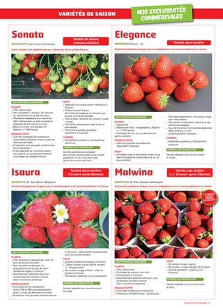 PLANTS DE FRAISIERS - 5 0
PLANTE
Très vigoureuse.
Non sensible à l’oïdium, au botrytis,
au verticillium et au gel de cœur.
Très bonne adaptation à la culture de
plein champ (avec ou sans couverture
plastique) et à la culture hors-sol.
Besoin en froid : comparable à à
Elsanta +/- 1 200 heures.
PRODUCTIVITÉ
Très fort potentiel de rendement
(équivalent à Elsanta), avec un taux de
déchets très faible.
Production non groupée, échelonnée
sur 4 semaines.
Fruits disposés en couronne autour
de la plante, ce qui permet d’obtenir
une vitesse de cueillette élevée.
FRUIT
Aptitude à la conservation identique à
Elsanta.
Calibre moyen à gros.
(fruit très homogène, ne chutant pas
et avec une forte densité).
Très brillant, ferme et de couleur rouge
orangé.
Très belle présentation des fruits en
barquettes.
Très bonne qualité gustative
(supérieur à Elsanta).
CONSEIL
Sensibilité possible au phytophtora
cactorum.
Variété parfaitement adaptée
aux circuits courts (grâce à sa qualité
gustative) ou aux circuits longs
(grâce à sa tenue de fruit).
CRÉNEAU DE PRODUCTION
LES PRINCIPAUX AVANTAGES
Variété de saison
(créneau Elsanta)
Sonata
VARIÉTÉS DE SAISON
OBTENTEUR Fresh Forward (Hollande)
Cette variété a été sélectionnée par l’obtenteur de la variété Elsanta
PLANTE
Vigoureuse
Besoins en froid : comparables à Elsanta
+/– 1 200 heures
Feuillage très dur, qui ne retombe pas
après cueillette
PRODUCTIVITÉ
Très fort potentiel de rendement
(équivalent à Elsanta).
FRUIT
De calibre moyen à gros (poids moyen 22 g),
très homogène en présentation et au ca-
libre constant
Très belle présentation, de couleur rouge
clair, très brillante
Très bonne conservation, grâce à un épi-
derme très résistant
Taux de fruits non commercialisables très
faible (inférieur à 5 %)
Qualité gustative standard
CONSEIL
Sensibilité possible au Phytophthora
cactorum
Variété adaptée aux circuits courts
et longs.
CRÉNEAU DE PRODUCTION
LES PRINCIPAUX AVANTAGES
Elegance
OOBBTTEENNTTEEUURR Meiosis - UK
Exclusivité pépinières Angier, pour la multiplication et la commercialisation en France
Variété demi-tardive
PLANTE
Très rustique et vigoureuse, avec un
port de feuille très aéré.
Non sensible au botrytis, au
phytophthora et au gel de cœur ;
sensibilité légère à l’oïdium.
Spécialement sélectionnée pour
une production de plein champ
sans couverture plastique.
PRODUCTIVITÉ
Fort potentiel de rendement
(entre 700 et 900 grammes/plante)
avec un taux de déchets très faible.
Production non groupée, échelonnée sur
4 semaines : particularité exceptionnelle
pour une variété tardive.
FRUIT
Qualité gustative analogue à Elsanta.
Calibre moyen à gros (poids moyen:
+/– 20 grammes).
De couleur rouge brillant ; chair et
épiderme fermes.
Très bonne aptitude à la conservation.
Variété adaptée aux circuits courts
et longs.
CRÉNEAU DE PRODUCTION
LES PRINCIPAUX AVANTAGES
OBTENTEUR M. Jean Moors (Belgique)
Exclusivité pépinières Angier, pour la multiplication et la commercialisation en France
Variété demi-tardive
(15 jours après Elsanta)Isaura
NOS EXCLUSIVITÉS
COMMERCIALES
PLANTE
Très vigoureuse.
Feuillage de couleur vert clair.
Pas sensible à l’oïdium.
Spécialement sélectionnée pour une
production de plein champ
sans couverture plastique.
PRODUCTIVITÉ
Entre 600 et 800 grammes/plante.
Production échelonnée sur + de 20 jours.
FRUIT
De calibre moyen à gros.
De couleur rouge orangé, très brillant.
Qualité gustative : supérieure à
Florence.
Variété adaptée aux circuits courts
et long.
LES PRINCIPAUX AVANTAGES
CRÉNEAU DE PRODUCTION
Variété très tardive
(+/- 20 jours après Elsanta)Malwina
OBTENTEUR M. Peter Stoppel (Allemagne)
Exclusivité pépinières Angier, pour la multiplication et la commercialisation en France
LA VARIÉTÉ
LA PLUS
TARDIVE
DU MARCHÉ !
ANGIER cata 2013:Mise en page 1 8/11/12 17:11 Page 5
 