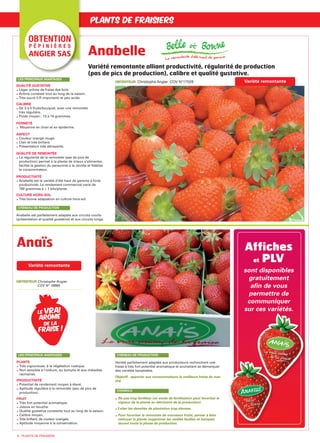 6 - PLANTS DE FRAISIERS
PLANTS DE FRAISIERS
Variété remontante
Anabelle
Variété remontante alliant productivité, régularité de production
(pas de pics de production), calibre et qualité gustative.
OBTENTEUR Christophe Angier
COV N° 18865
Anaïs
OBTENTEUR Christophe Angier COV N°17528
QUALITÉ GUSTATIVE
Léger arôme de fraise des bois.
Arôme constant tout au long de la saison.
Très sucré (I.R important) et peu acide.
CALIBRE
De 3 à 5 fruits/bouquet, avec une remontée
très régulière.
Poids moyen : 13 à 15 grammes.
FERMETÉ
Moyenne en chair et en épiderme.
ASPECT
Couleur orangé rouge.
Clair et très brillant.
Présentation très attrayante.
QUALITÉ DE REMONTÉE
La régularité de la remontée (pas de pics de
production) permet à la plante de mieux s’alimenter,
facilite la gestion du personnel à la récolte et fidélise
le consommateur.
PRODUCTIVITÉ
Anabelle est la variété d’été haut de gamme à forte
productivité. Le rendement commercial varie de
700 grammes à + 1 kilo/plante.
CULTURE HORS-SOL
Très bonne adaptation en culture hors-sol.
Anabelle est parfaitement adaptée aux circuits courts
(présentation et qualité gustative) et aux circuits longs.
LES PRINCIPAUX AVANTAGES
CRÉNEAU DE PRODUCTION
La rem ontante d'été hautde gam m e
Ne pas trop fertiliser (un excès de fertilisation peut favoriser la
vigueur de la plante au détriment de la production).
Éviter les densités de plantation trop élevées.
Pour favoriser la remontée de nouveaux fruits, penser à bien
nettoyer la plante (supprimer les vieilles feuilles et hampes)
durant toute la phase de production.
CONSEILS
PLANTE
Très vigoureuse, à la végétation rustique.
Non sensible à l’oïdium, au botrytis et aux maladies
racinaires.
PRODUCTIVITÉ
Potentiel de rendement moyen à élevé.
Aptitude régulière à la remontée (peu de pics de
production).
FRUIT
Très fort potentiel aromatique.
Juteux en bouche.
Qualité gustative constante tout au long de la saison.
Calibre moyen.
Très brillant, de couleur orangée.
Aptitude moyenne à la conservation.
LES PRINCIPAUX AVANTAGES
Variété parfaitement adaptée aux producteurs recherchant une
fraise à très fort potentiel aromatique et souhaitant se démarquer
des variétés banalisées.
Objectif : apporter aux consommateurs la meilleure fraise du mar-
ché.
CRÉNEAU DE PRODUCTION
Variété remontante
Affiches
et PLV
sont disponibles
gratuitement
afin de vous
permettre de
communiquer
sur ces variétés.Le VRAI
arôme
de la
fraise !
OBTENTION
P É P I N I È R E S
ANGIER SAS
ANGIER cata 2013:Mise en page 1 8/11/12 17:11 Page 6
 